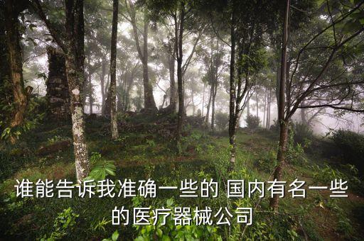誰能告訴我準(zhǔn)確一些的 國內(nèi)有名一些的醫(yī)療器械公司