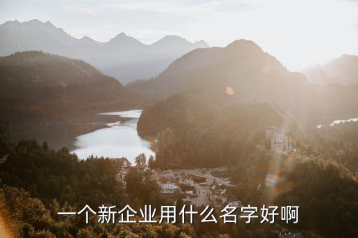 一個(gè)新企業(yè)用什么名字好啊