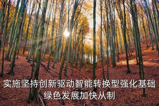 實施堅持創(chuàng)新驅(qū)動智能轉(zhuǎn)換型強化基礎(chǔ)綠色發(fā)展加快從制