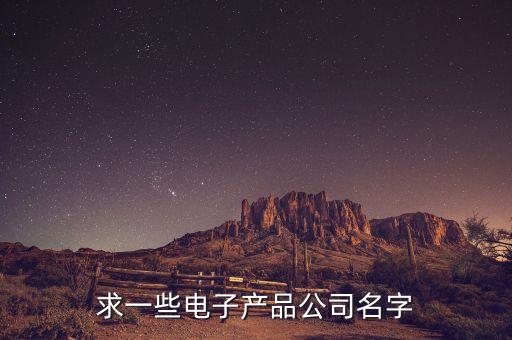 求一些電子產(chǎn)品公司名字