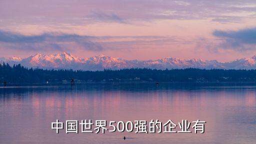 中國全球500強(qiáng)企業(yè)，中國進(jìn)入全球500強(qiáng)的企業(yè)有哪些
