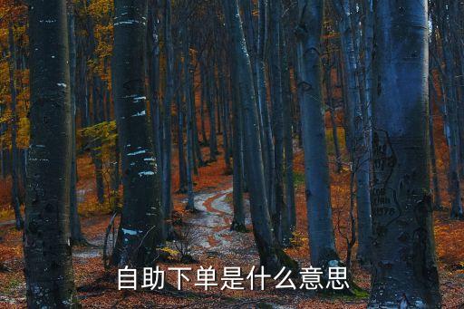 老馬業(yè)務(wù)自助下單，嗎的是不是老馬坑人啊