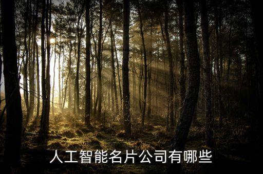 ai 公司，人工智能企業(yè)有哪些公司