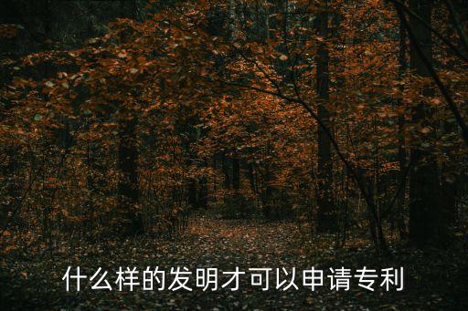 什么樣的發(fā)明才可以申請(qǐng)專利