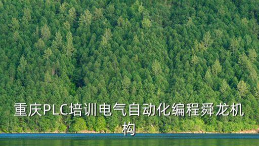 重慶PLC培訓(xùn)電氣自動(dòng)化編程舜龍機(jī)構(gòu)