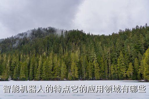 智能機器人能做些什么，現(xiàn)在所研究出來的智能機器人能做些什么事情
