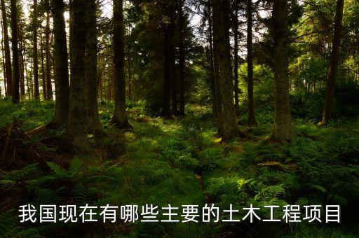 我國(guó)現(xiàn)在有哪些主要的土木工程項(xiàng)目