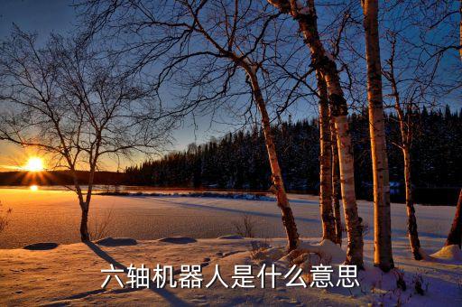 六軸機(jī)器人是什么意思