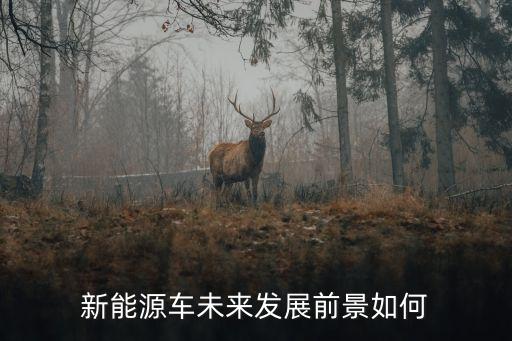 新能源車未來發(fā)展前景如何