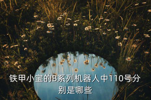鐵甲小寶的B系列機器人中110號分別是哪些