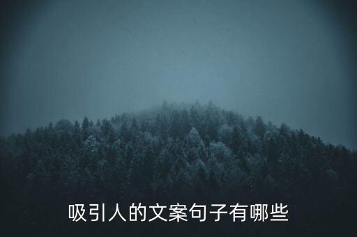 吸引人的文案句子有哪些