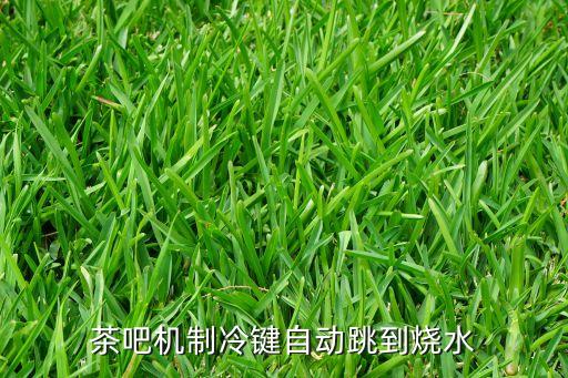 茶吧機(jī)制冷鍵自動跳到燒水