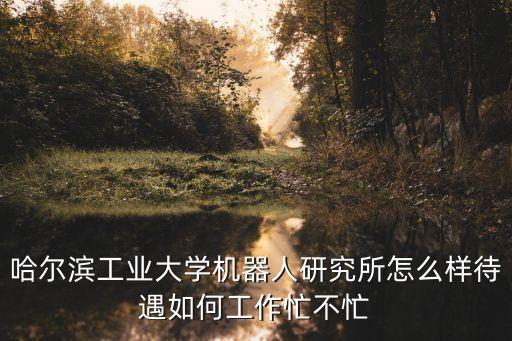 哈爾濱工業(yè)大學(xué)機器人研究所怎么樣待遇如何工作忙不忙