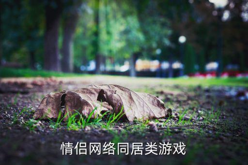 情侶網絡同居類游戲