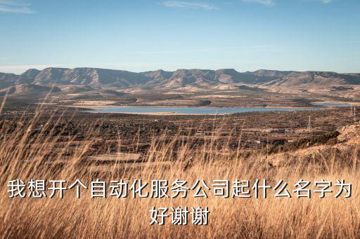 做自動化設(shè)備的公司名字怎么起，請為機械自動化公司取名