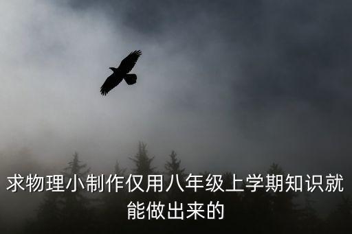 物理小制作八年級，八年級物理小制作