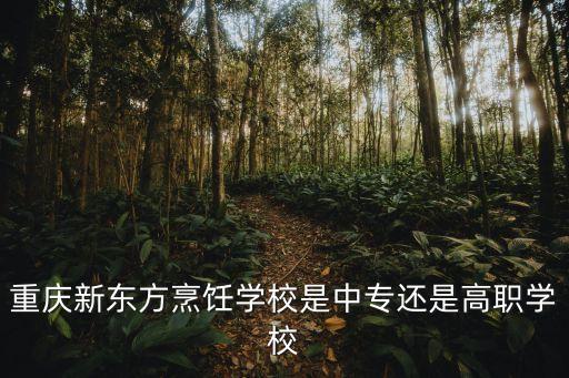 新東方烹飪培訓(xùn)學(xué)校是中專嗎，新東方烹飪學(xué)校初中生收嗎屬于中職學(xué)校嗎