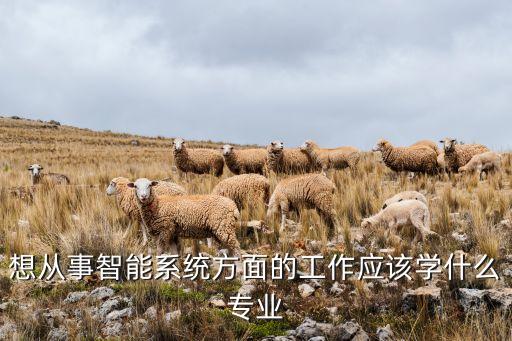 想從事智能系統(tǒng)方面的工作應(yīng)該學(xué)什么專業(yè)