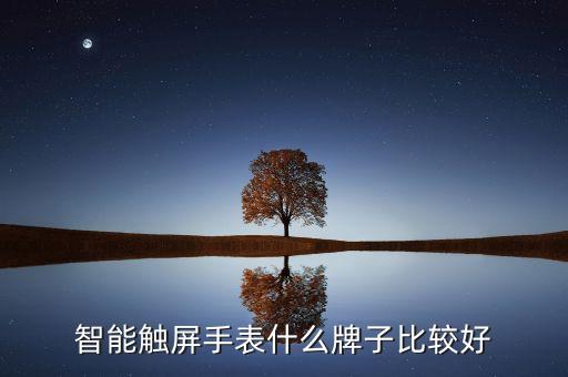 專業(yè)運(yùn)動(dòng)智能手表品牌，智能手表有哪些品牌的啊