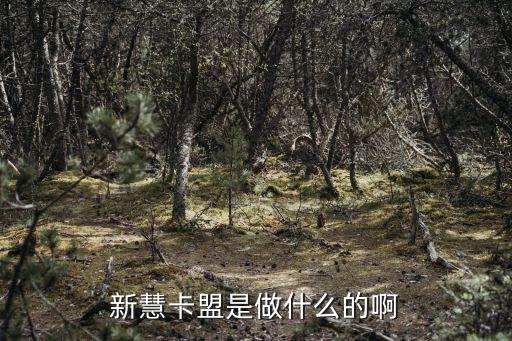新夢(mèng)業(yè)務(wù)卡盟，新慧卡盟是做什么的啊