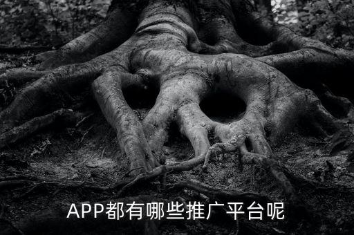 APP都有哪些推廣平臺(tái)呢
