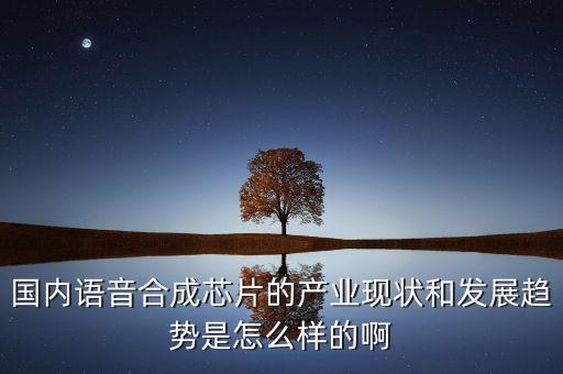 國內(nèi)語音合成芯片的產(chǎn)業(yè)現(xiàn)狀和發(fā)展趨勢(shì)是怎么樣的啊