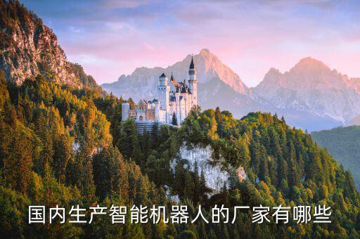 做人工智能機器人的公司，國內(nèi)生產(chǎn)智能機器人的廠家有哪些