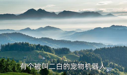 有個(gè)被叫二白的寵物機(jī)器人