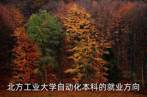 北方工業(yè)大學自動化，北方工業(yè)大學自動化本科的就業(yè)方向