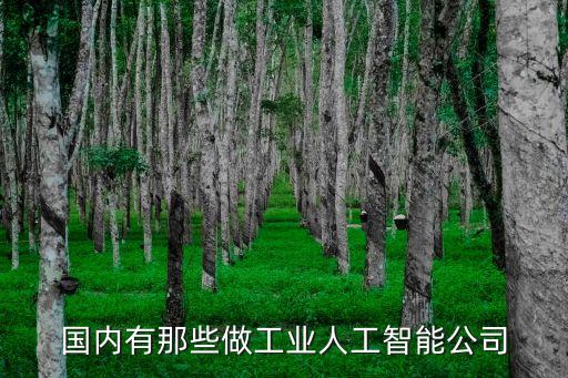 國內(nèi)有那些做工業(yè)人工智能公司