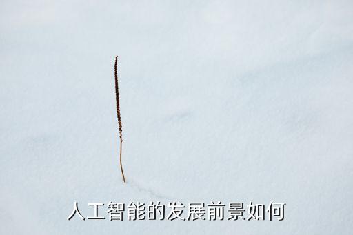 人工智能的發(fā)展前景如何