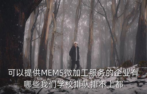 南京銳微電子科技有限公司，南京哪家公司做IBM服務(wù)器HP服務(wù)器比較好的