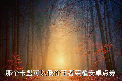 王者透視低價卡盟，哪個卡盟拿貨便宜