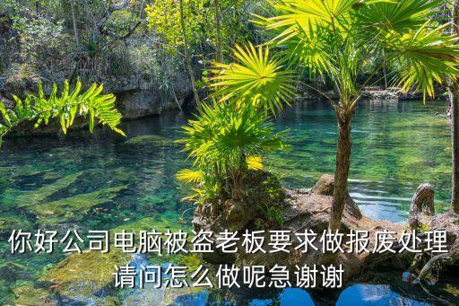你好公司電腦被盜老板要求做報(bào)廢處理請(qǐng)問怎么做呢急謝謝