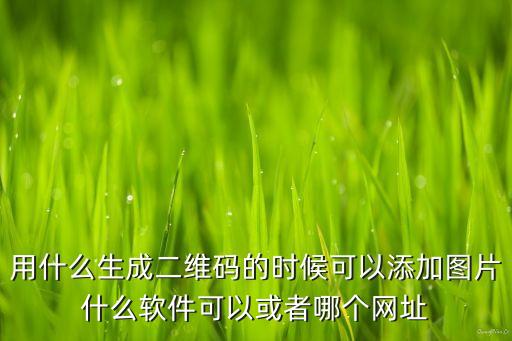 用什么生成二維碼的時(shí)候可以添加圖片什么軟件可以或者哪個(gè)網(wǎng)址