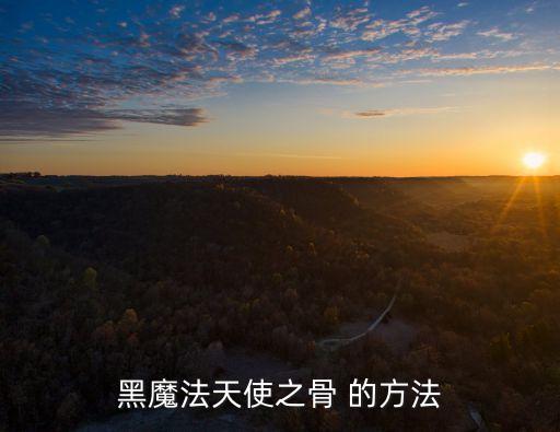 黑魔法天使之骨 的方法