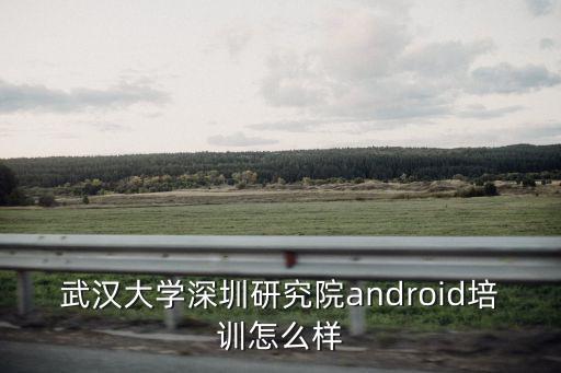 武漢大學(xué)深圳研究院android培訓(xùn)怎么樣