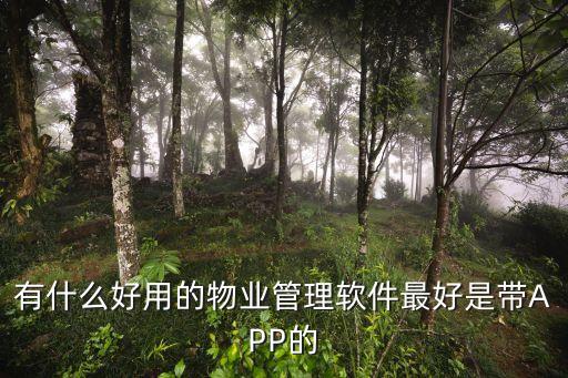物業(yè)管理系統(tǒng)軟件有哪些，有什么好用的物業(yè)管理軟件最好是帶APP的