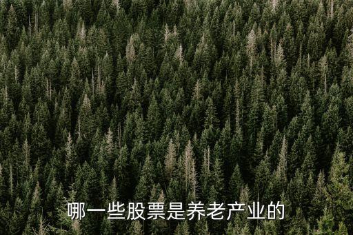 哪一些股票是養(yǎng)老產(chǎn)業(yè)的