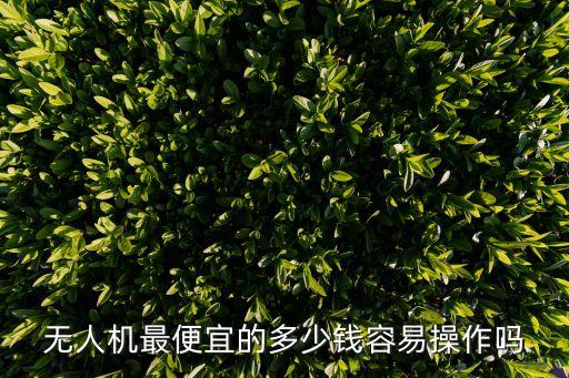 無(wú)人機(jī)最便宜多少元，無(wú)人機(jī)的無(wú)人機(jī)多少錢(qián)