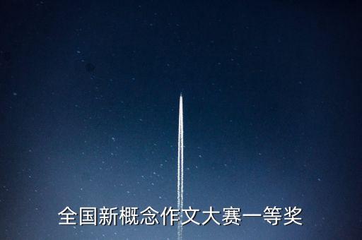 全國新概念作文大賽一等獎