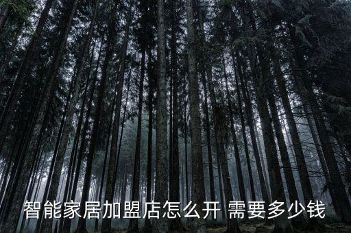 全屋智能加盟費(fèi)多少錢，在廣東中山加盟LivingLab智能家居要多少費(fèi)用