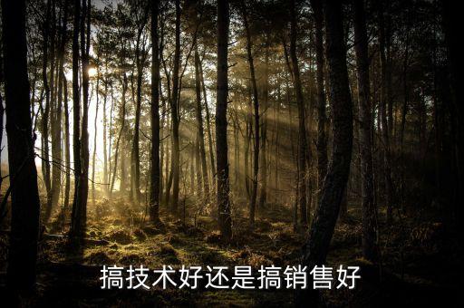 自動化搞技術(shù)還是搞銷售，學(xué)自動化 在技術(shù)與銷售之間如何選擇