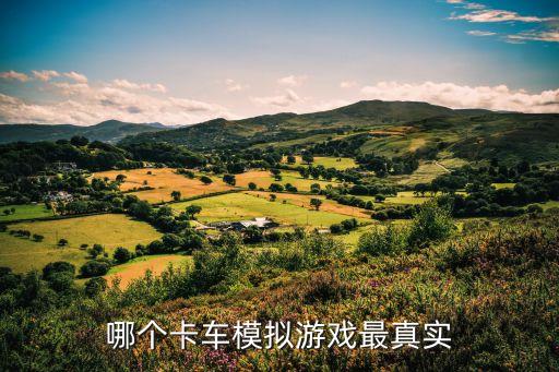 真人貨車(chē)模擬駕駛游戲，誰(shuí)知道哪些卡車(chē)模擬駕駛系列的游戲推薦一下要逼真一點(diǎn)的