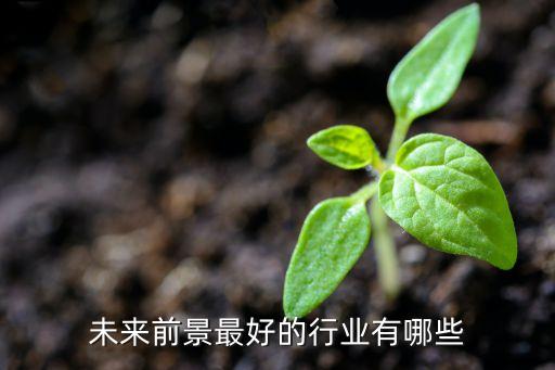未來前景最好的行業(yè)有哪些