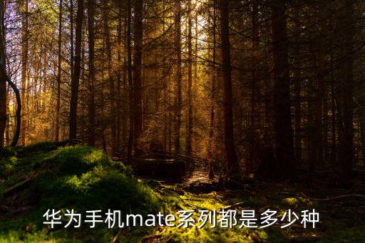 華為手機(jī)mate系列都是多少種