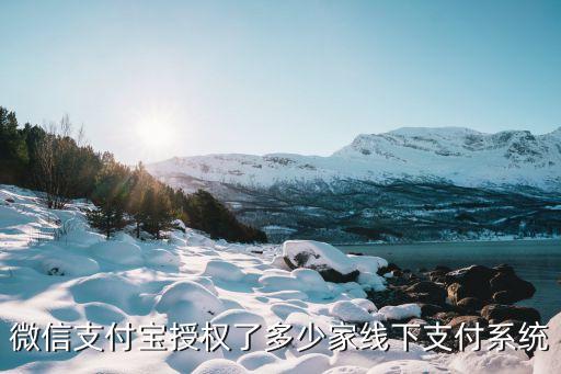 微信支付寶授權(quán)了多少家線下支付系統(tǒng)