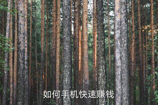 如何手機(jī)快速賺錢