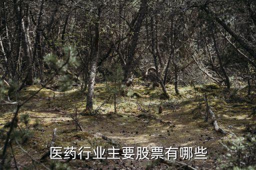 醫(yī)藥行業(yè)主要股票有哪些