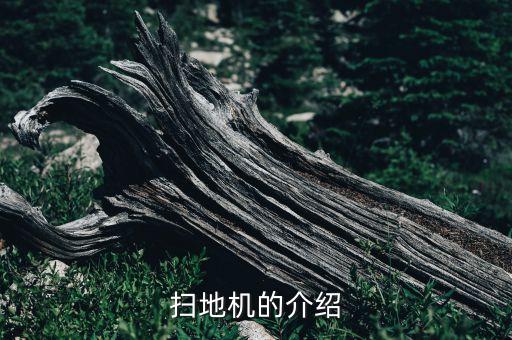 掃地機(jī)的介紹
